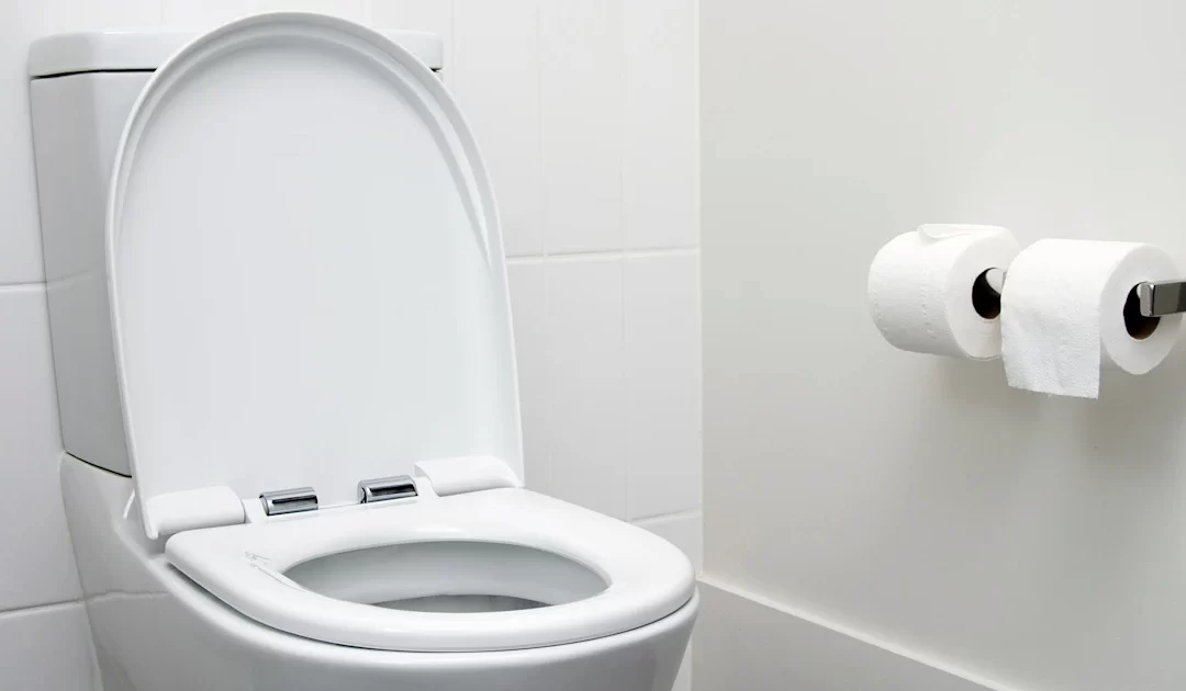 Pouvez vous installer des toilettes n’importe où dans votre maison ?