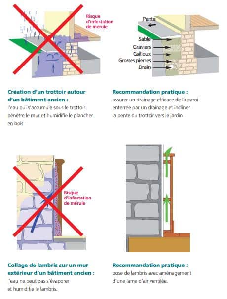 Recommendation contre la mérule